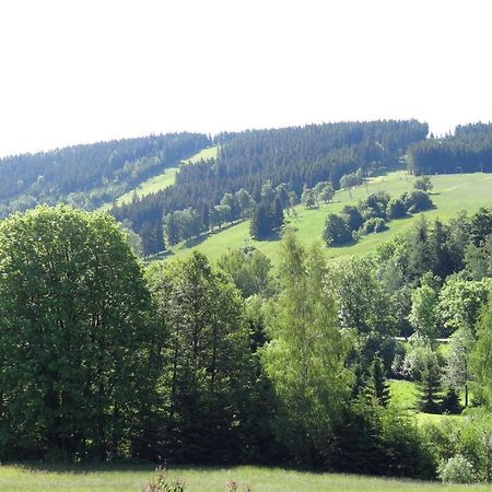 Apartman Karovi Destne v Orlickych horach Dış mekan fotoğraf