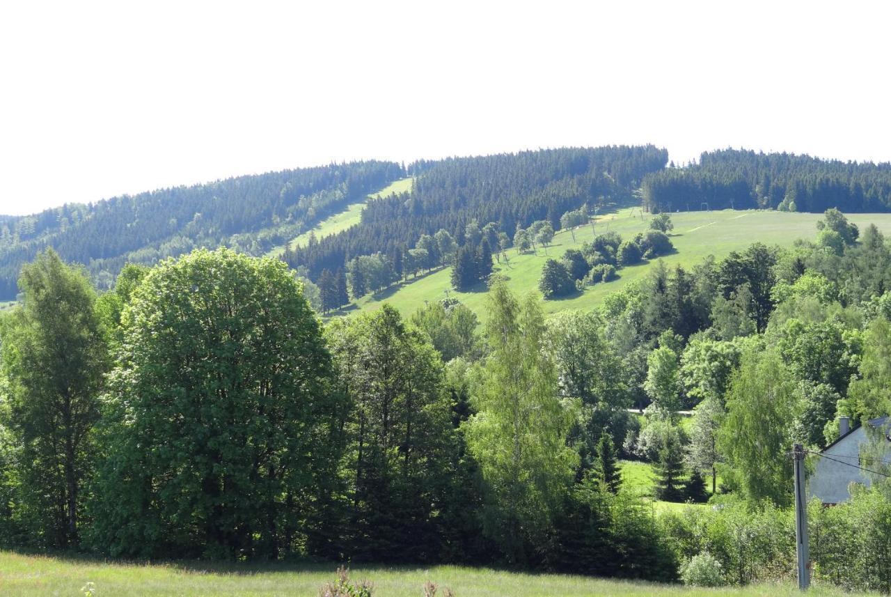 Apartman Karovi Destne v Orlickych horach Dış mekan fotoğraf